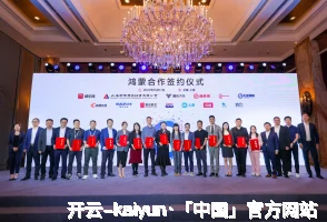 开云
